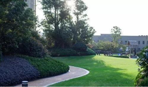 新(xin)力地(di)產鈺(yu)瓏灣 經濟(ji)性景觀與公(gong)園化(hua)住宅的完美(mei)碰(peng)撞(zhuang)